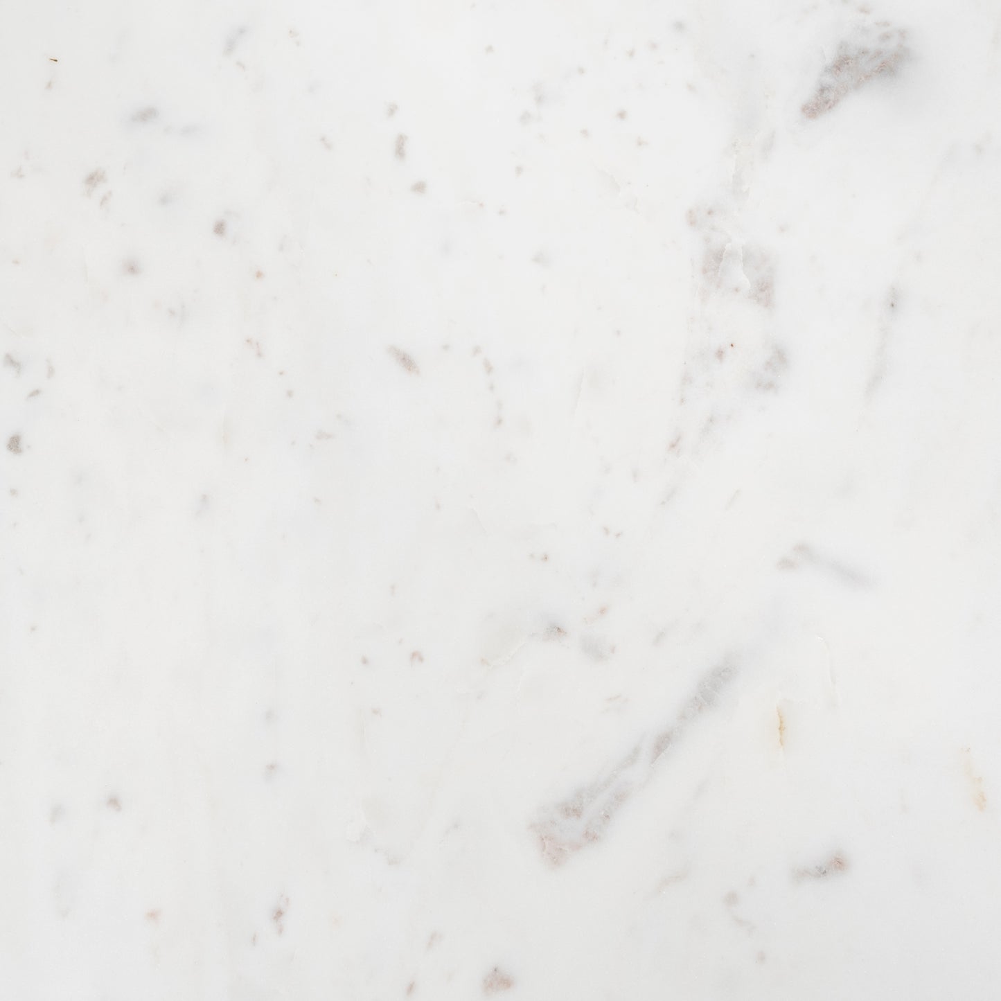 Etienne Coffee Table White Marble | Black Metal - coffee-tables