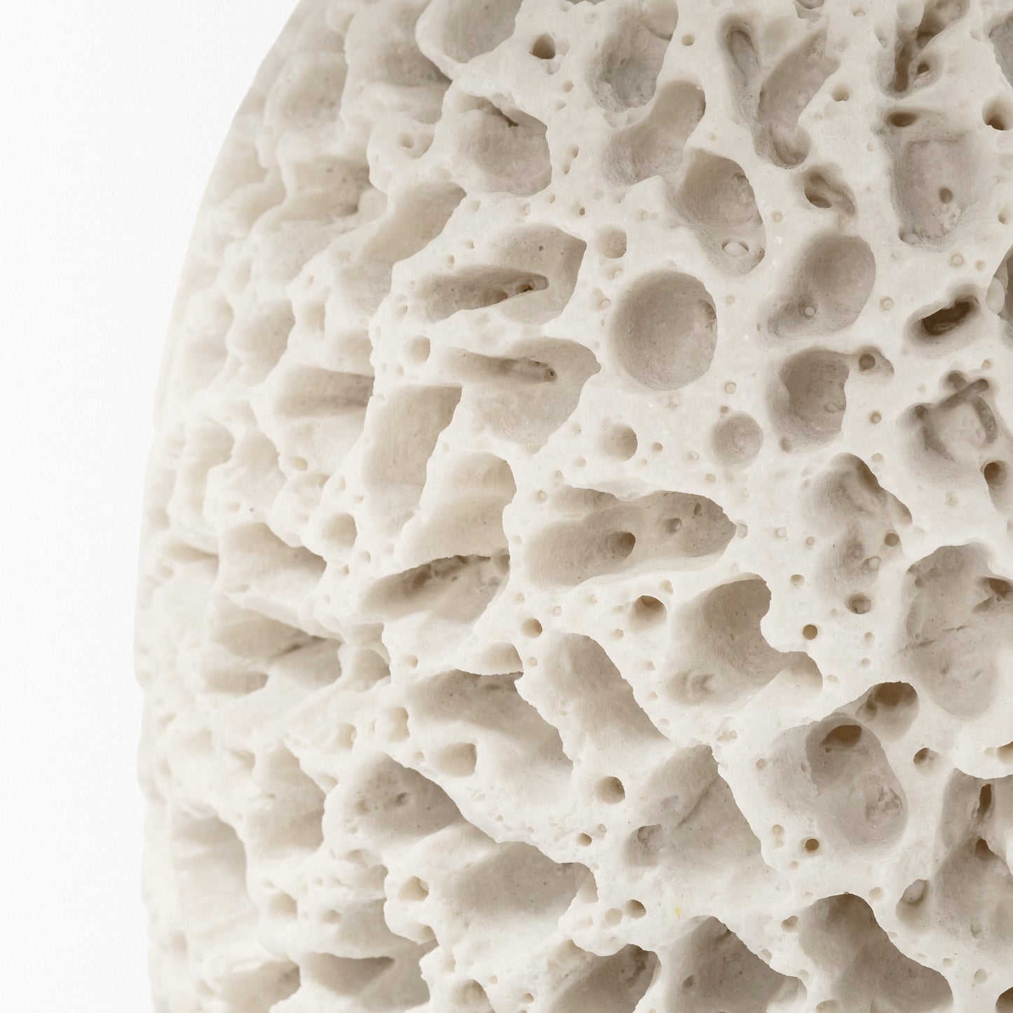 Mariam (26"H) Cream Coral-Inspired Base Table Lamp