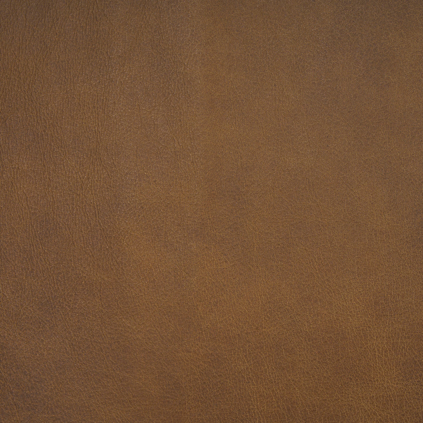 Berbick Dining Chair Brown Leather |Black Metal - dining-chairs