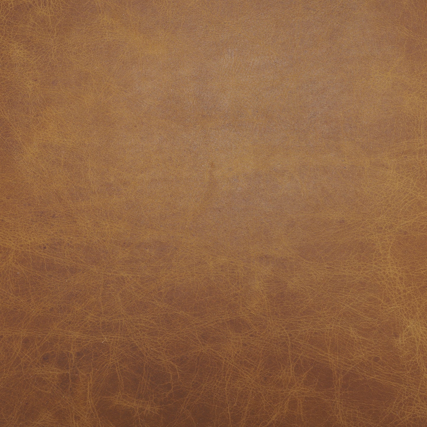 Hollyfield Leather Dining Chair Brown Leather | Gold Metal - dining-chairs