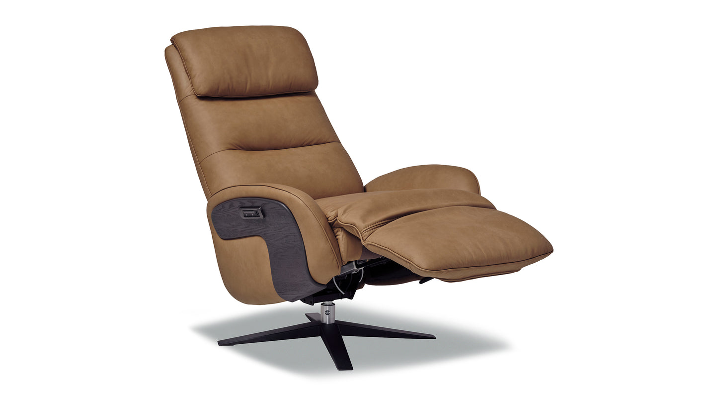 Eris Leather Power Recliner Chair