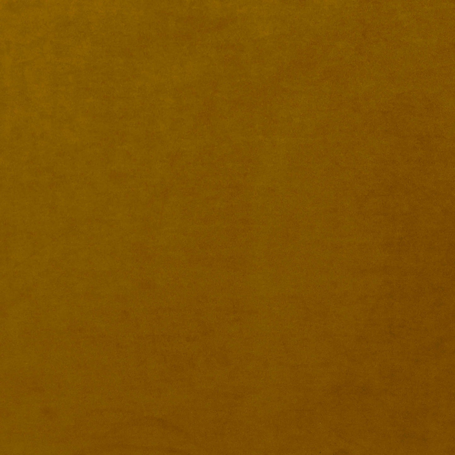 Missy Club Chair - Dijon Velvet