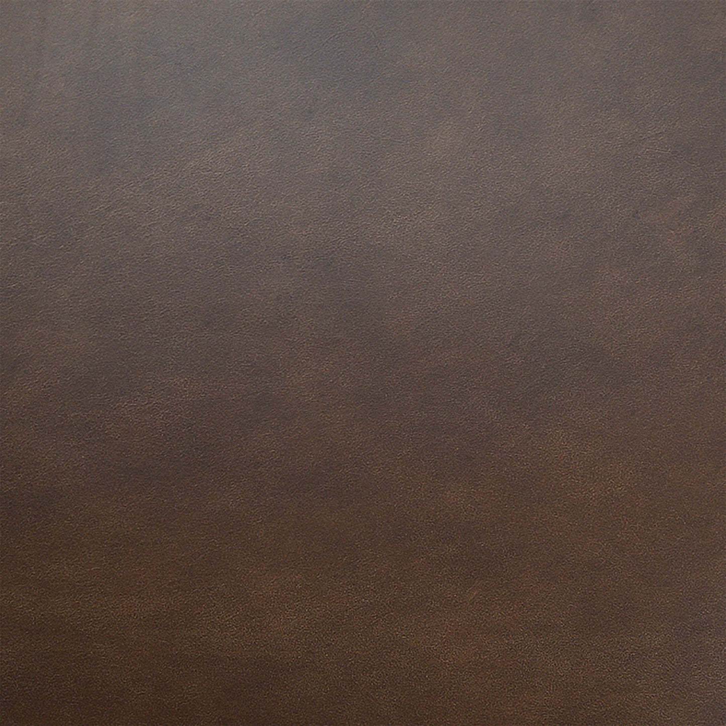 Milo Dining Chair - Mocha