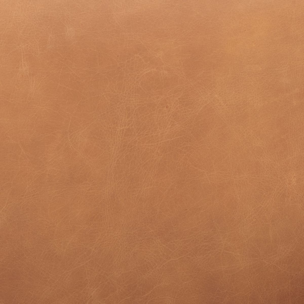 Ashton Leather Accent Chair Brown Leather | Light Wood - accent-chairs