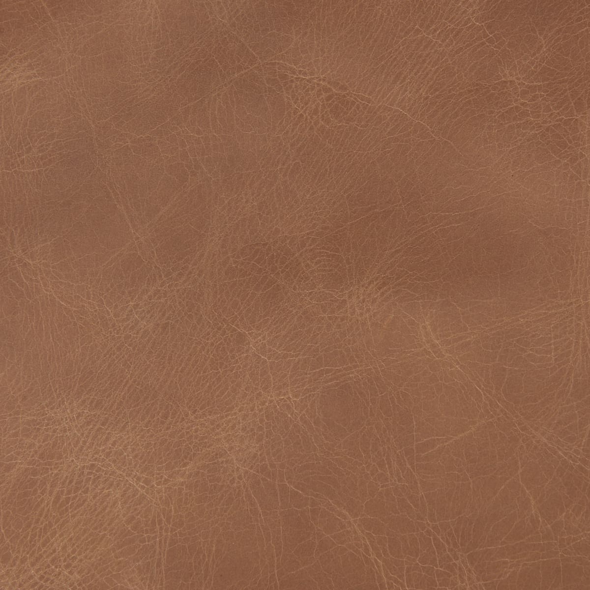 Raeleigh Leather Accent Chair Cognac Leather | Light Brown Wood - accent-chairs