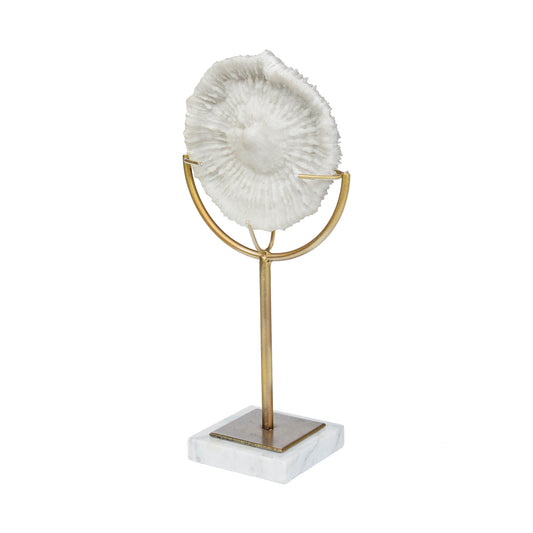 Sandy III (Large) 8L x 4W White Coastal Sand Dollar Object