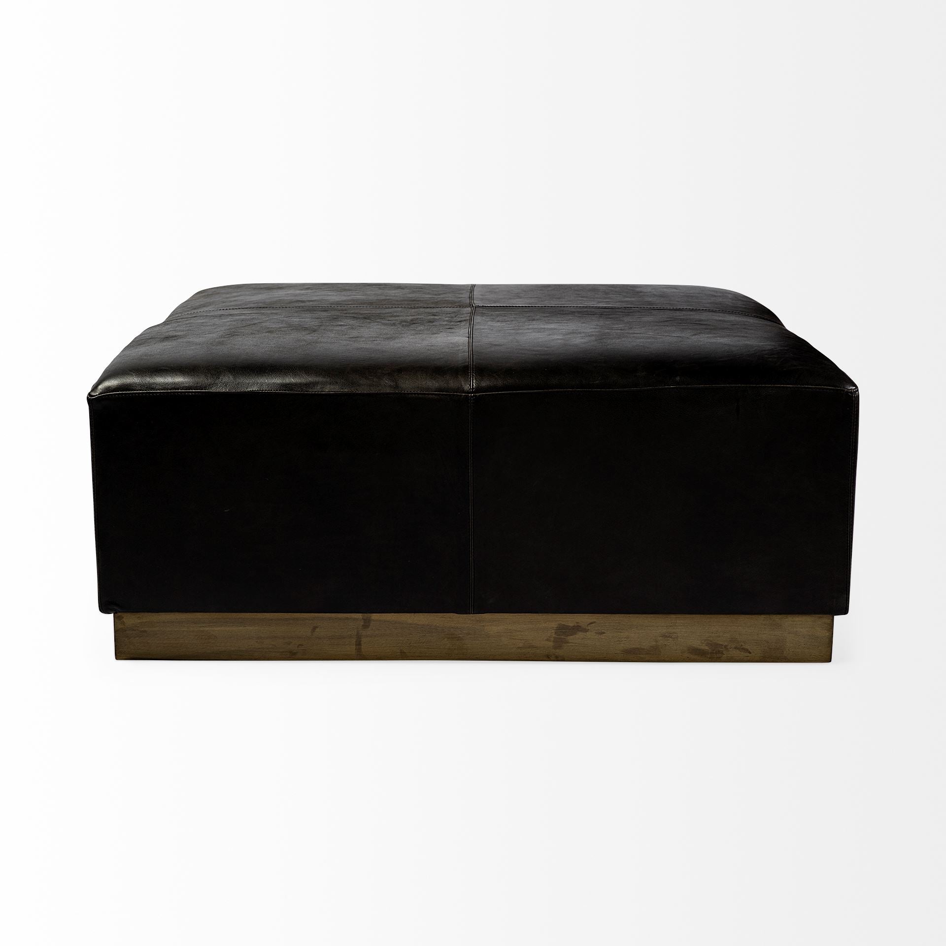 Minara Ottoman Black Leather | Gold Metal - ottoman-and-poufs