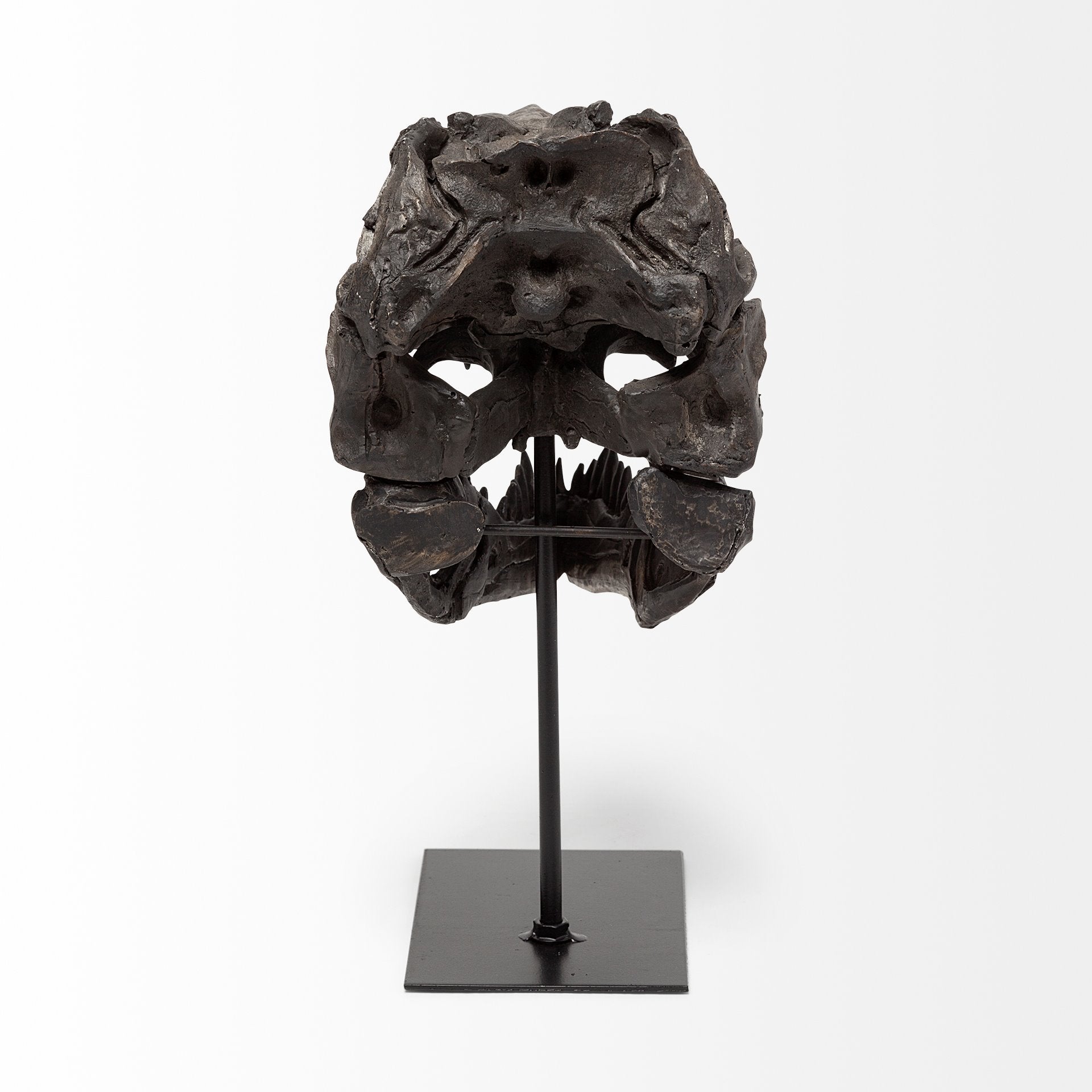 Jurassic 6L x 10W Brown Resin Tyrannosaurus Skull Replica
