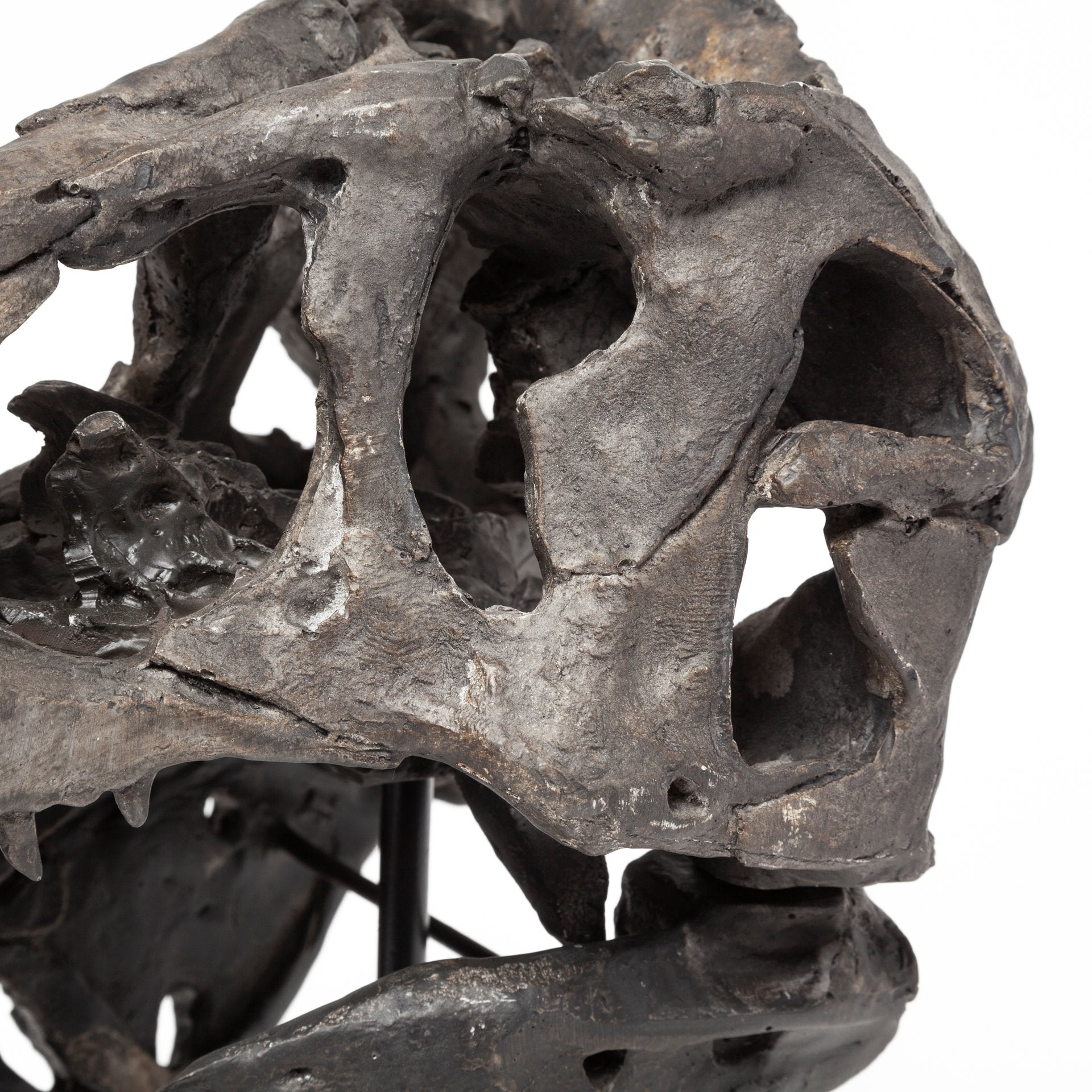 Jurassic 6L x 10W Brown Resin Tyrannosaurus Skull Replica