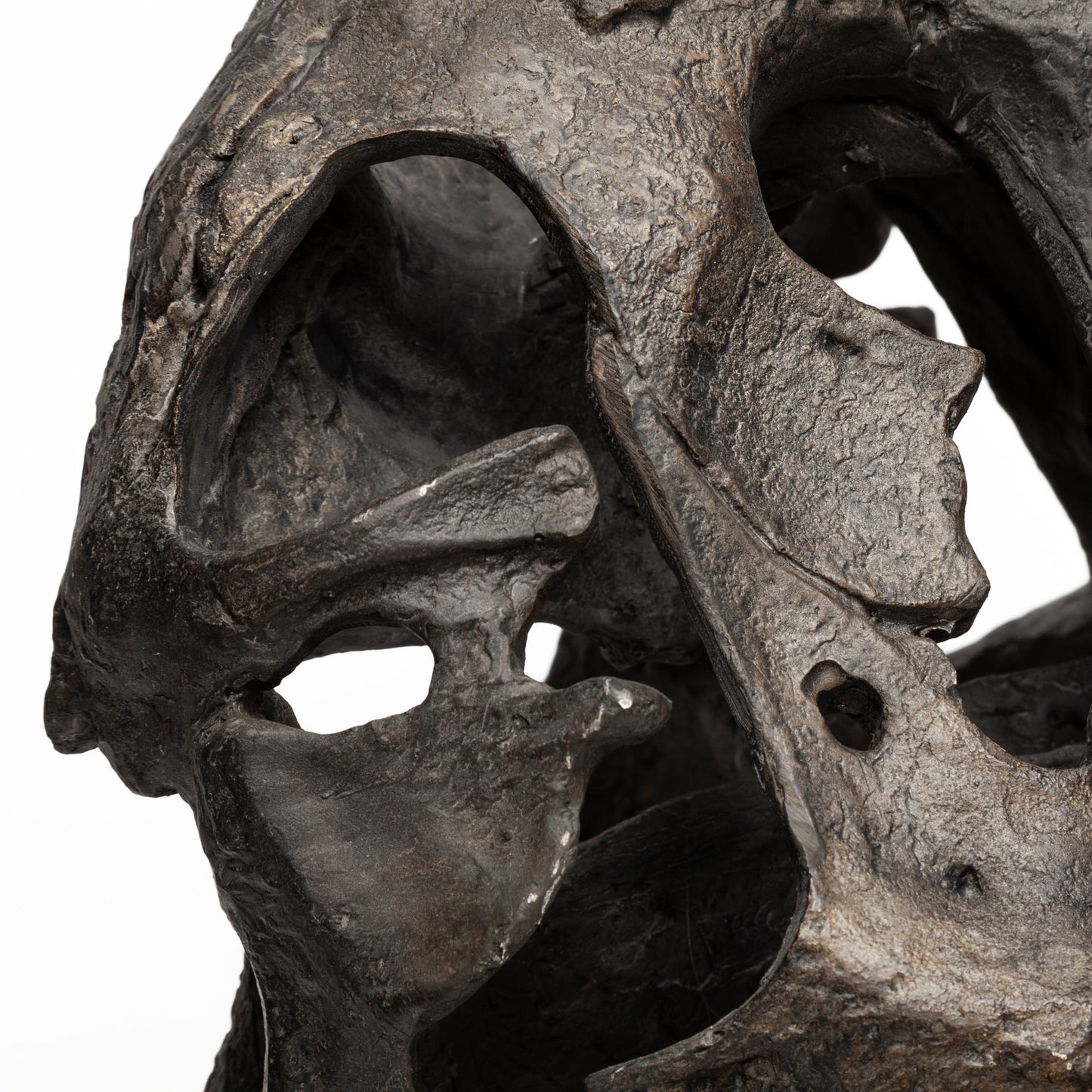 Lagrane 19L x 11W Brown Resin Tyrannosaurus T Rex Dinosaur Skull Replica