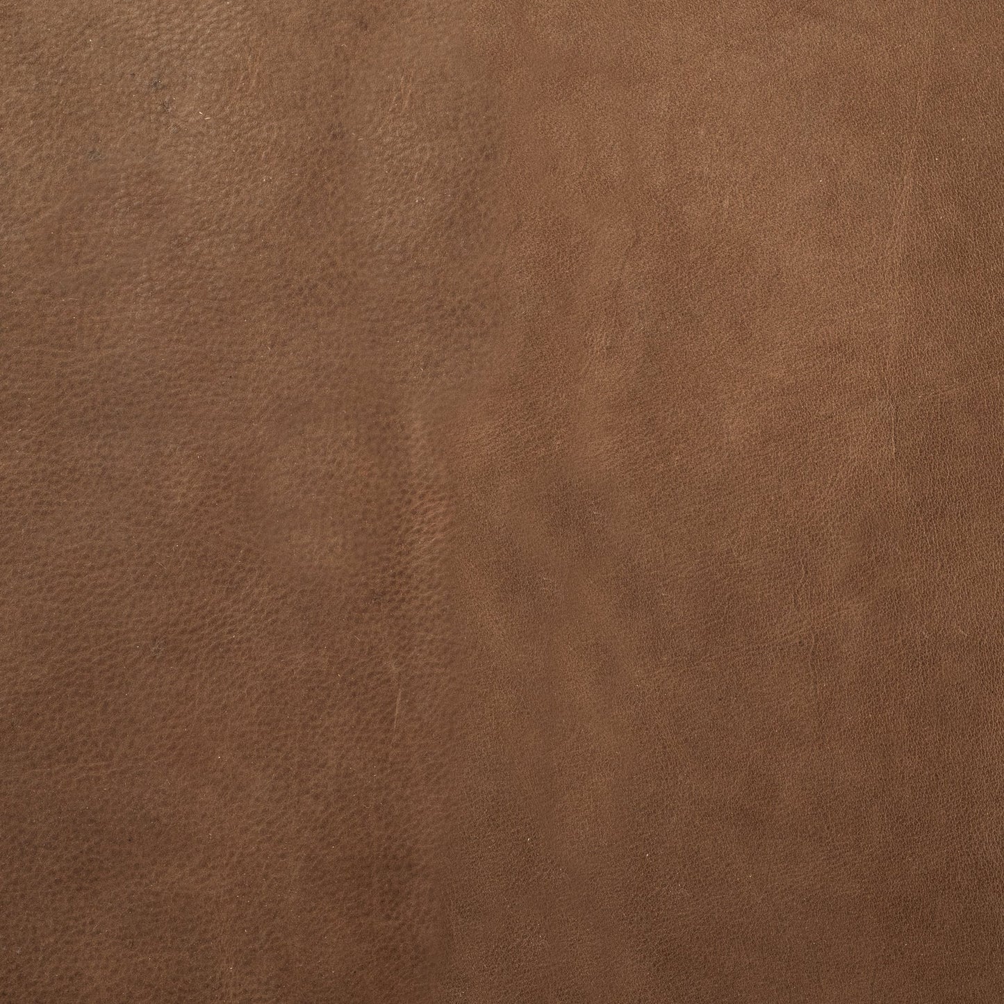 Jessie 55L x 16W Brown Leather Seat W/Black Metal Base Accent Bench