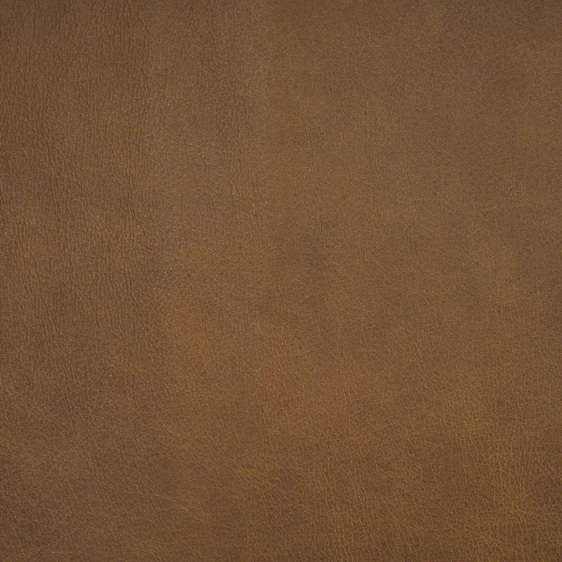 Berbick Dining Chair Brown Leather |Black Metal - dining-chairs