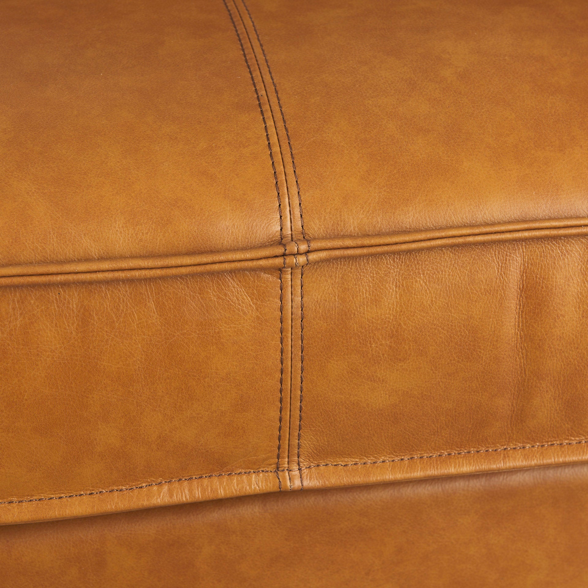 D'Arcy 65.0L x 37.0W x 34.0H Tan Leather Love Seat