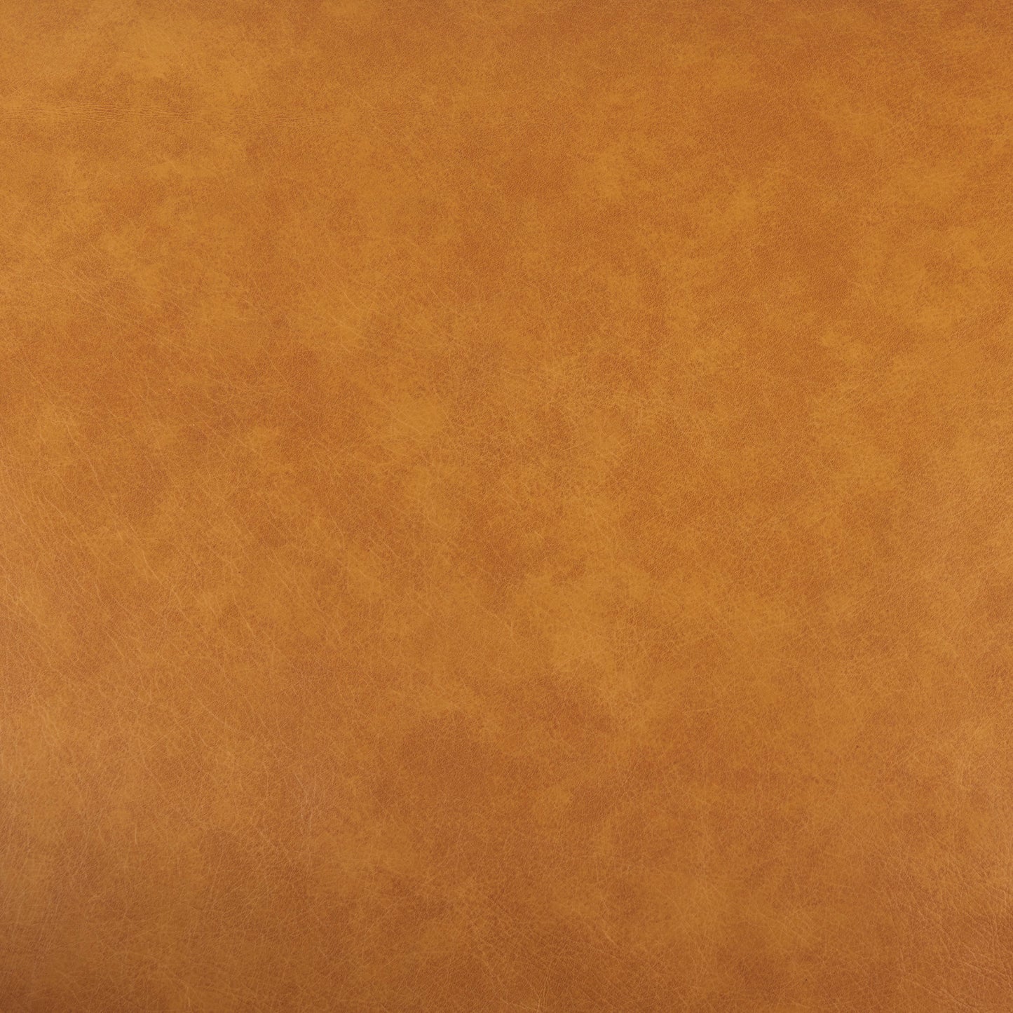 D'Arcy 65.0L x 37.0W x 34.0H Tan Leather Love Seat