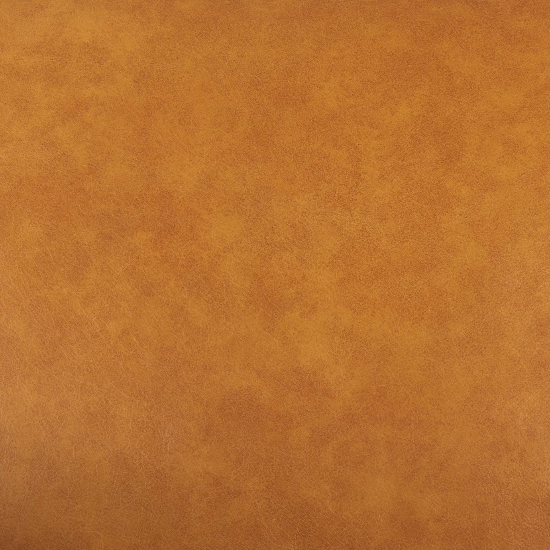 D'Arcy 65.0L x 37.0W x 34.0H Tan Leather Love Seat