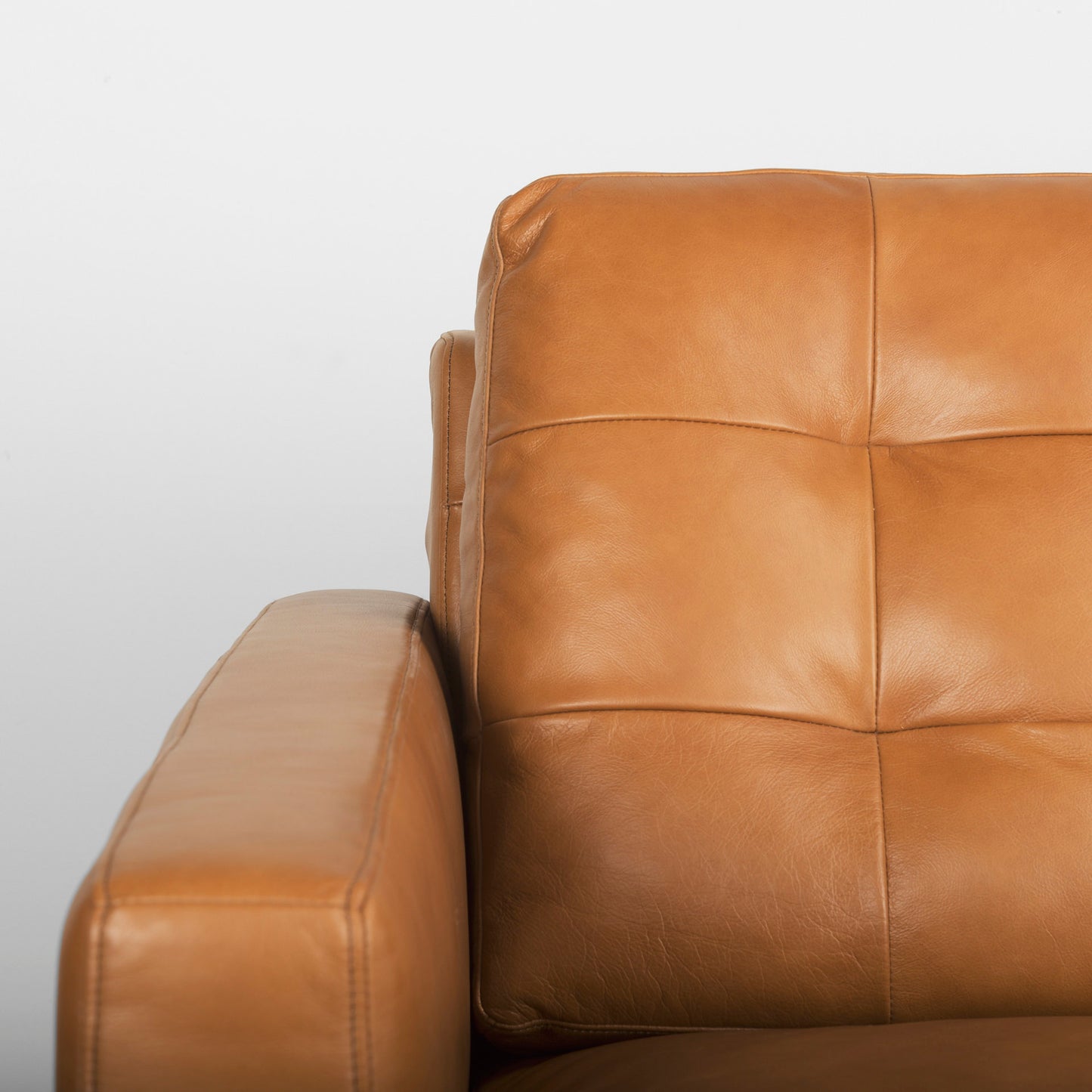Olaf 88.2L x 37.8W x 35.0H Tan Leather Sofa