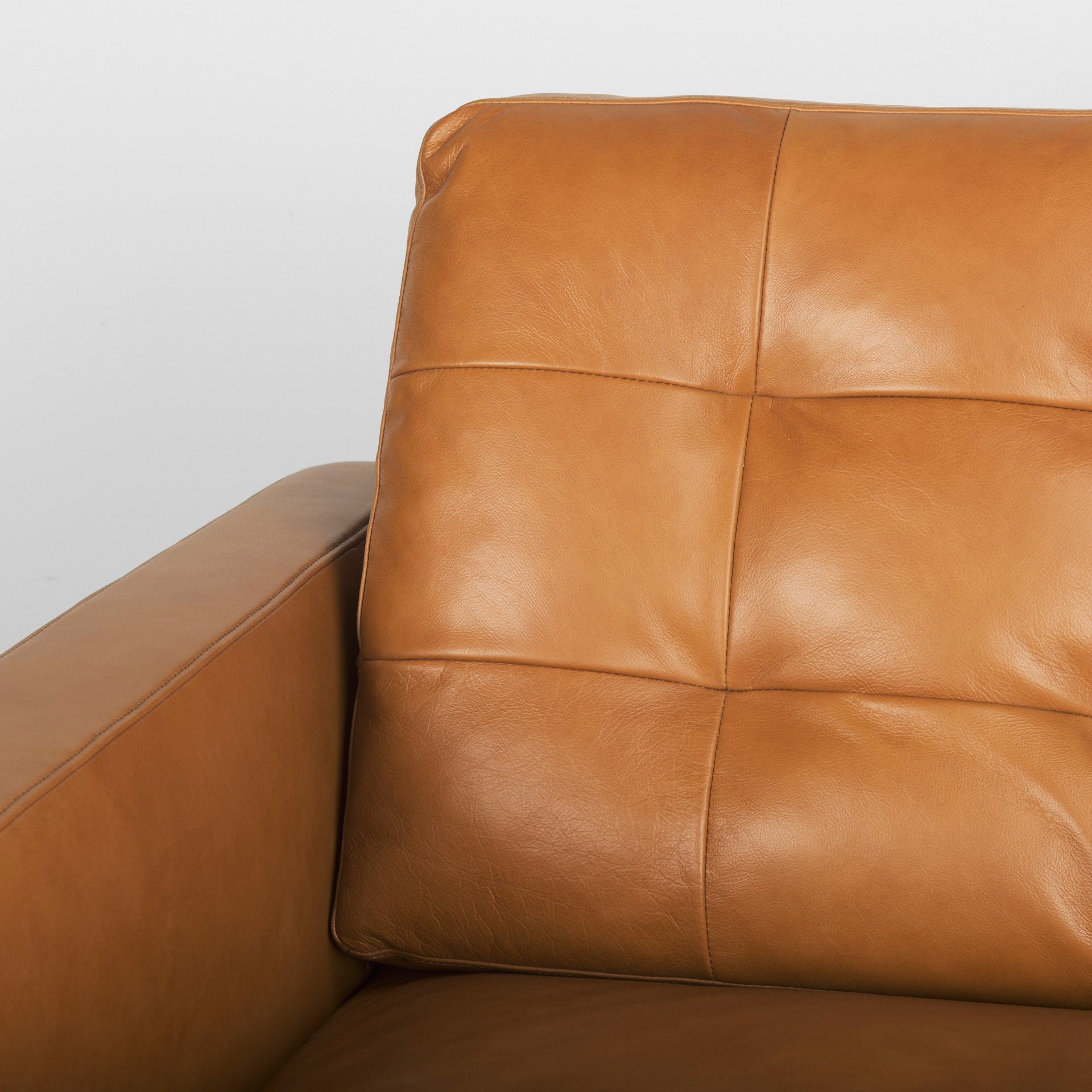 Olaf 88.2L x 37.8W x 35.0H Tan Leather Sofa