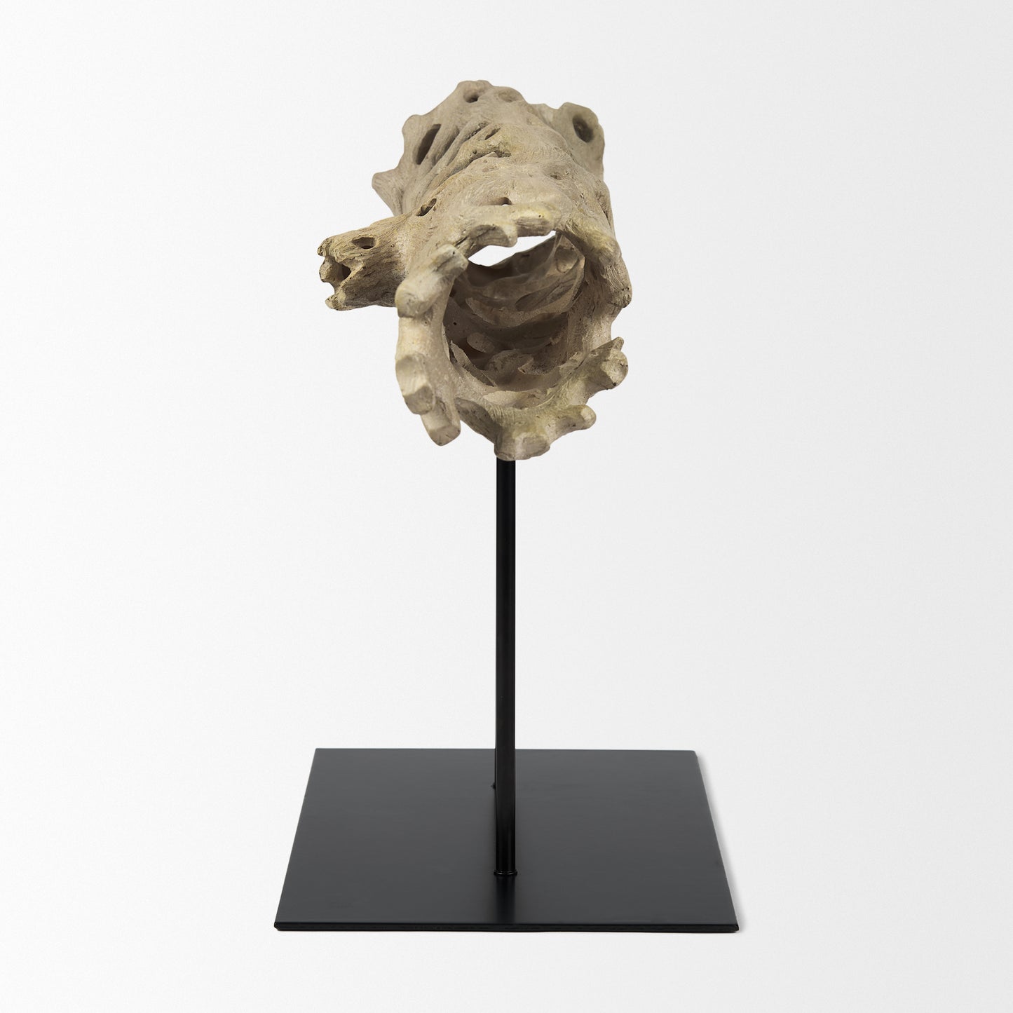 Dwell Cholla Wood Resin Decorative Object