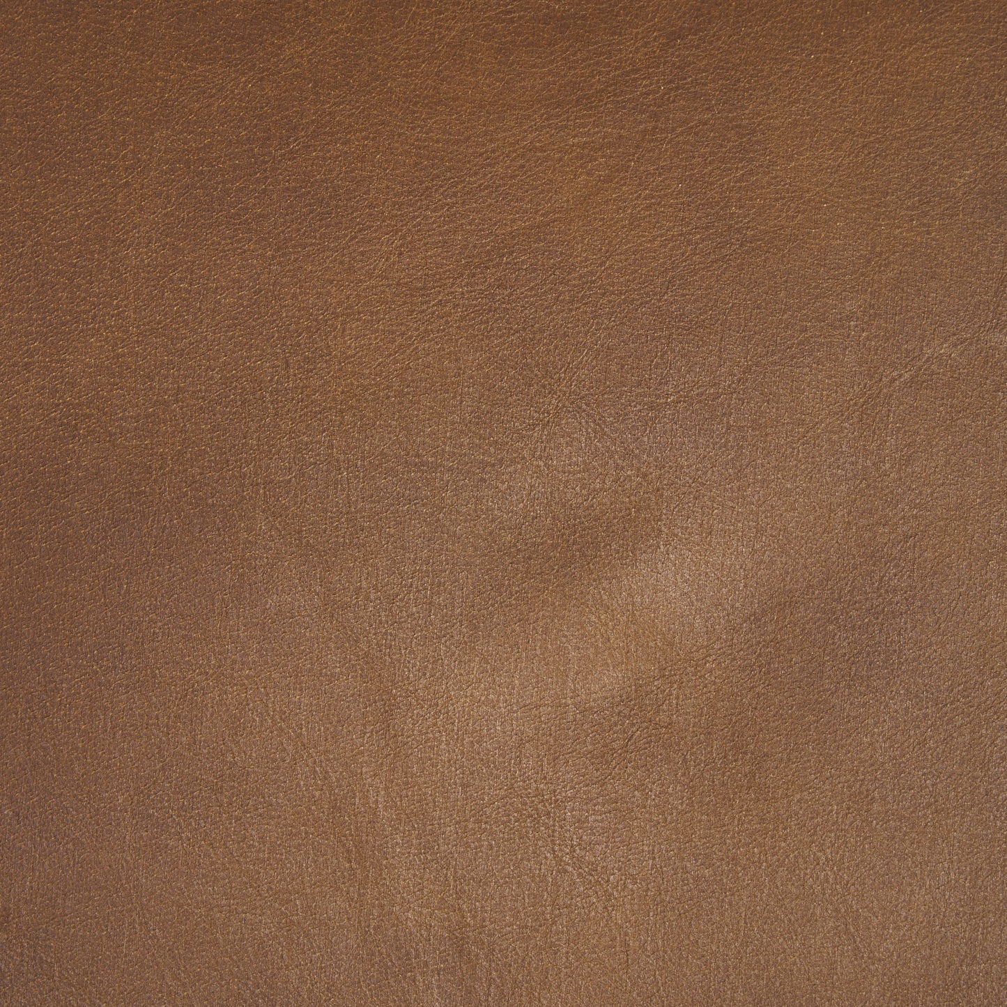 Taniel Brown Leather w/ Black Metal Counter Stool