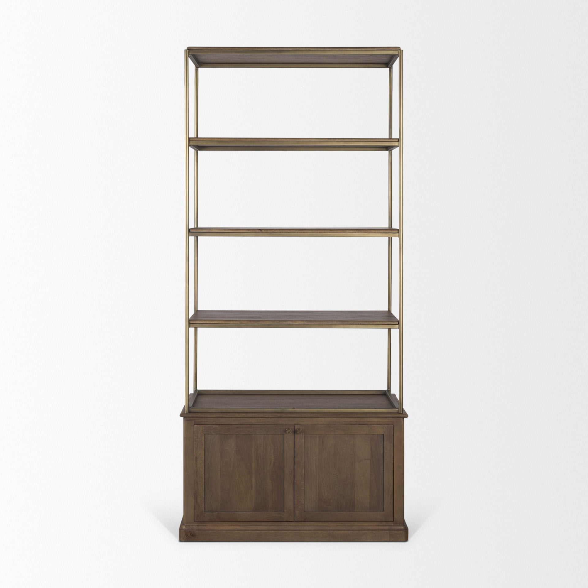 Braxton Shelving Unit Dark Brown | Antiqued Brass | 2 Doors - shelving