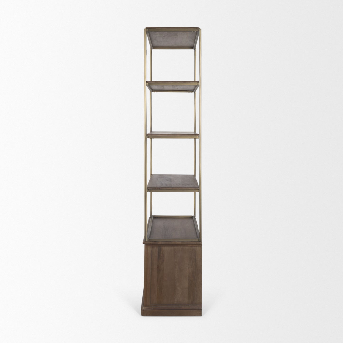 Braxton Shelving Unit Dark Brown | Antiqued Brass | 2 Doors - shelving