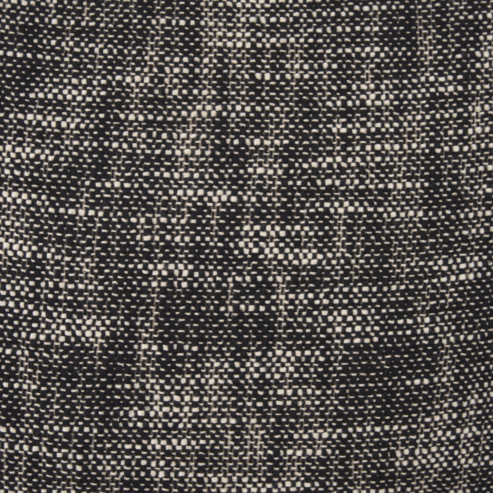 Jalia Cream and Black Cotton Decorative Square Pillow Cover