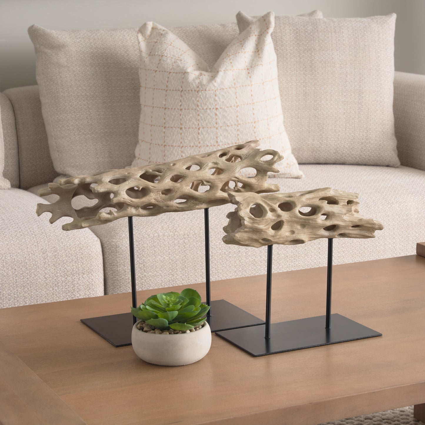 Dwell Cholla Wood Resin Decorative Object