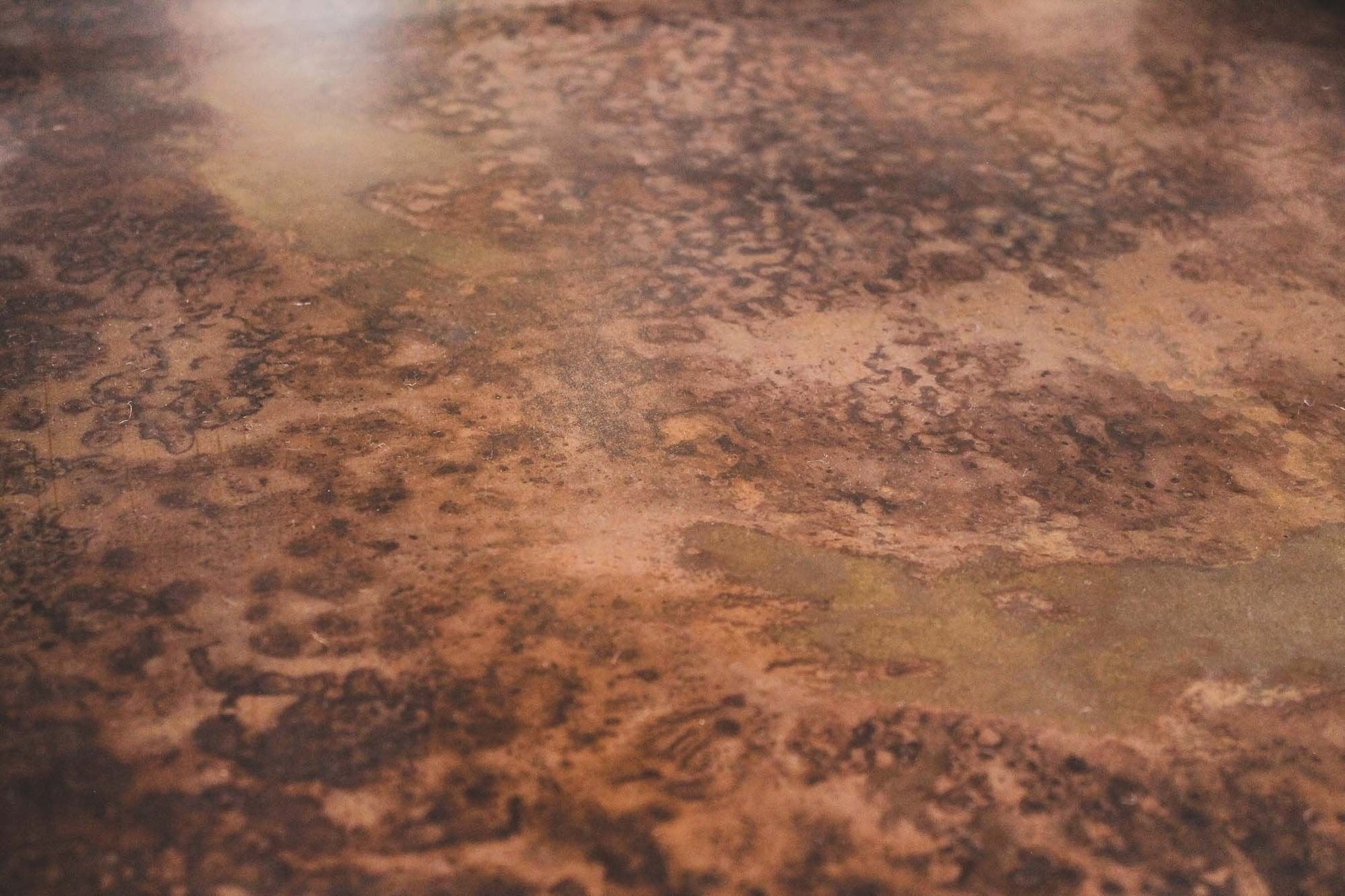 Venus Coffee Table - Bronze