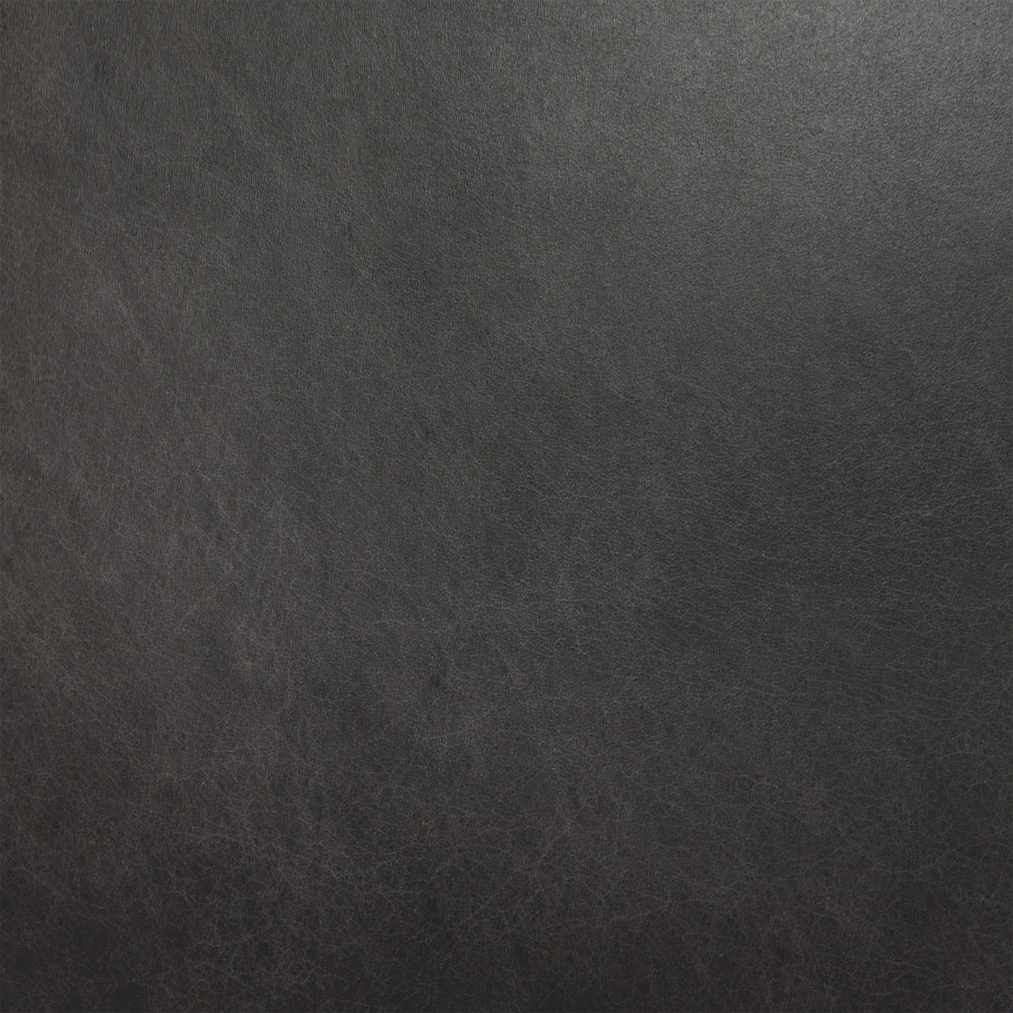 Dakota Dining Chair - Black