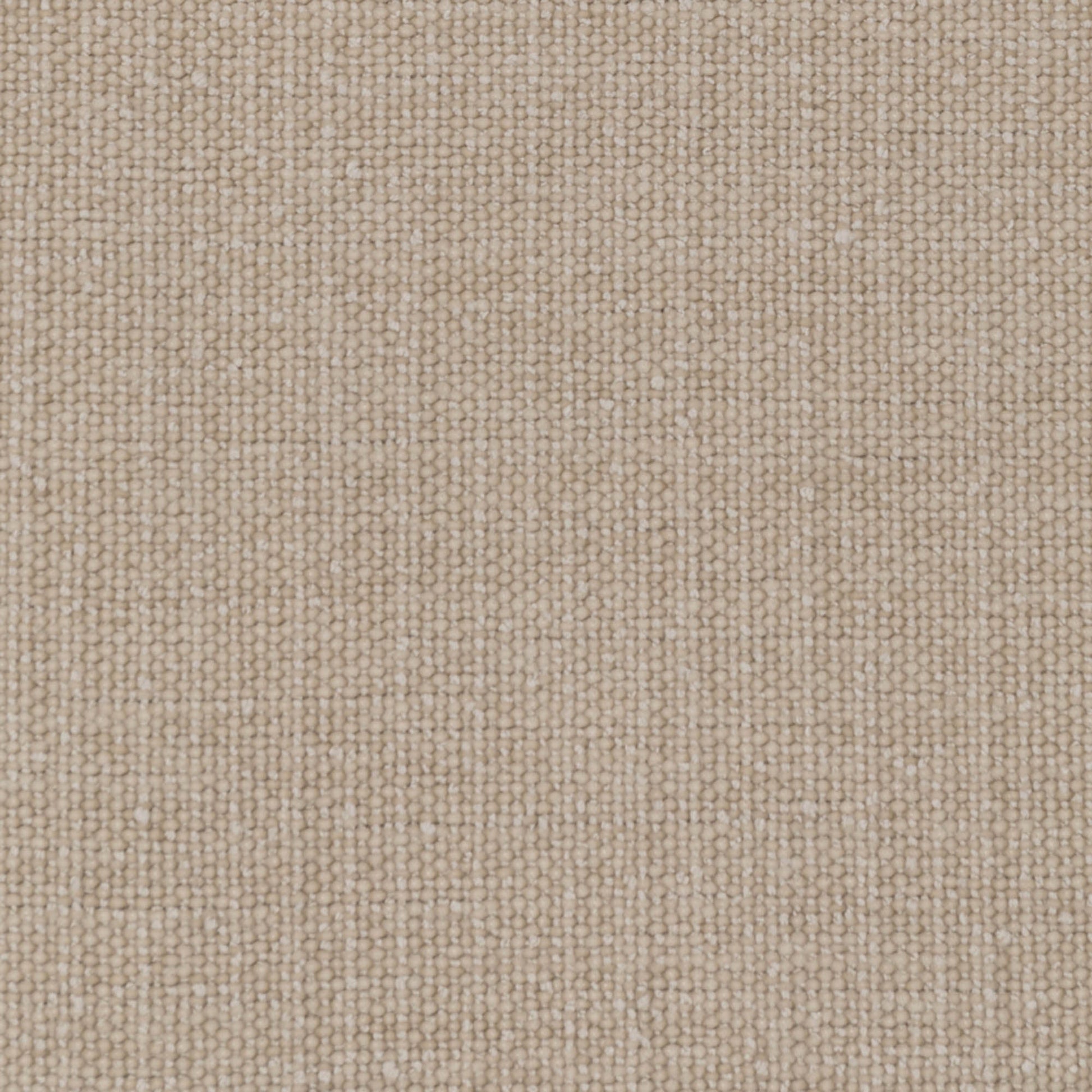 Gemma Club Chair - Fawn