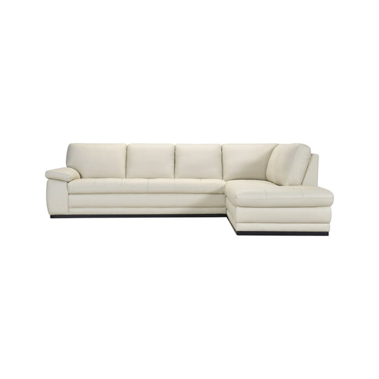 Acer Leather Sectional - Sectional