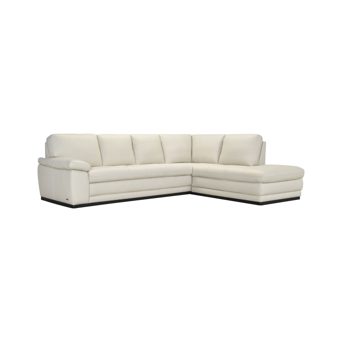Acer Leather Sectional - Sectional