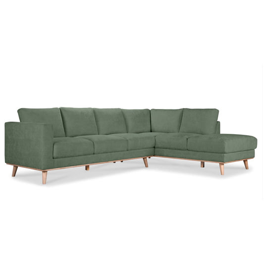 Albina Eucalyptus Sectioanl - Sectional
