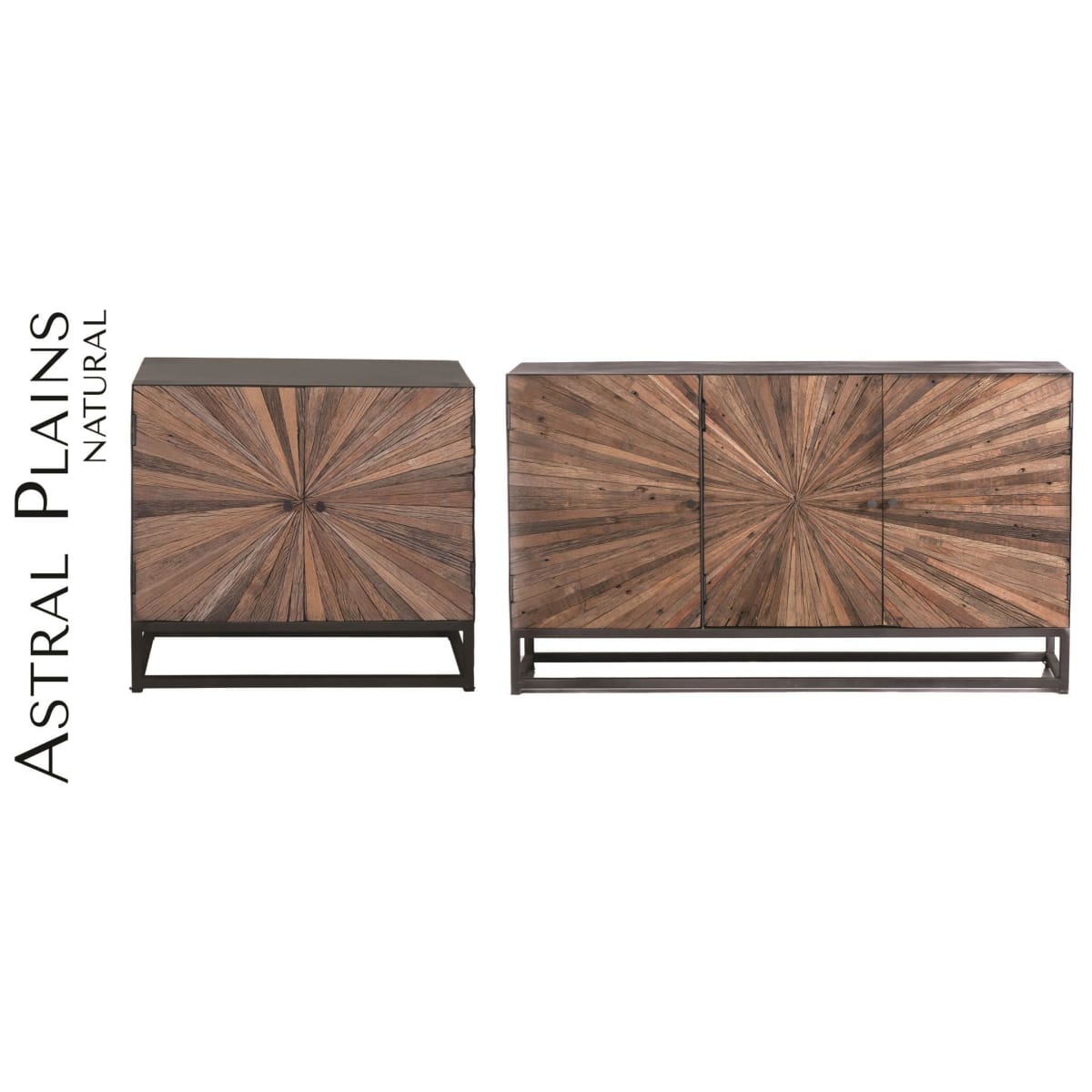 Astral Plains Reclaimed 2 Door Accent Cabinet - 32X14X31 - accent cabinet