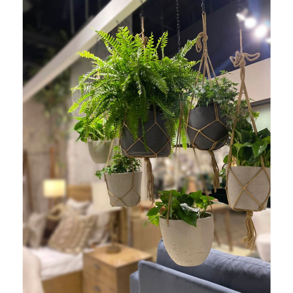 Craft Medium Hanging Pot With Netting - Cement Grey - lh-import-vases