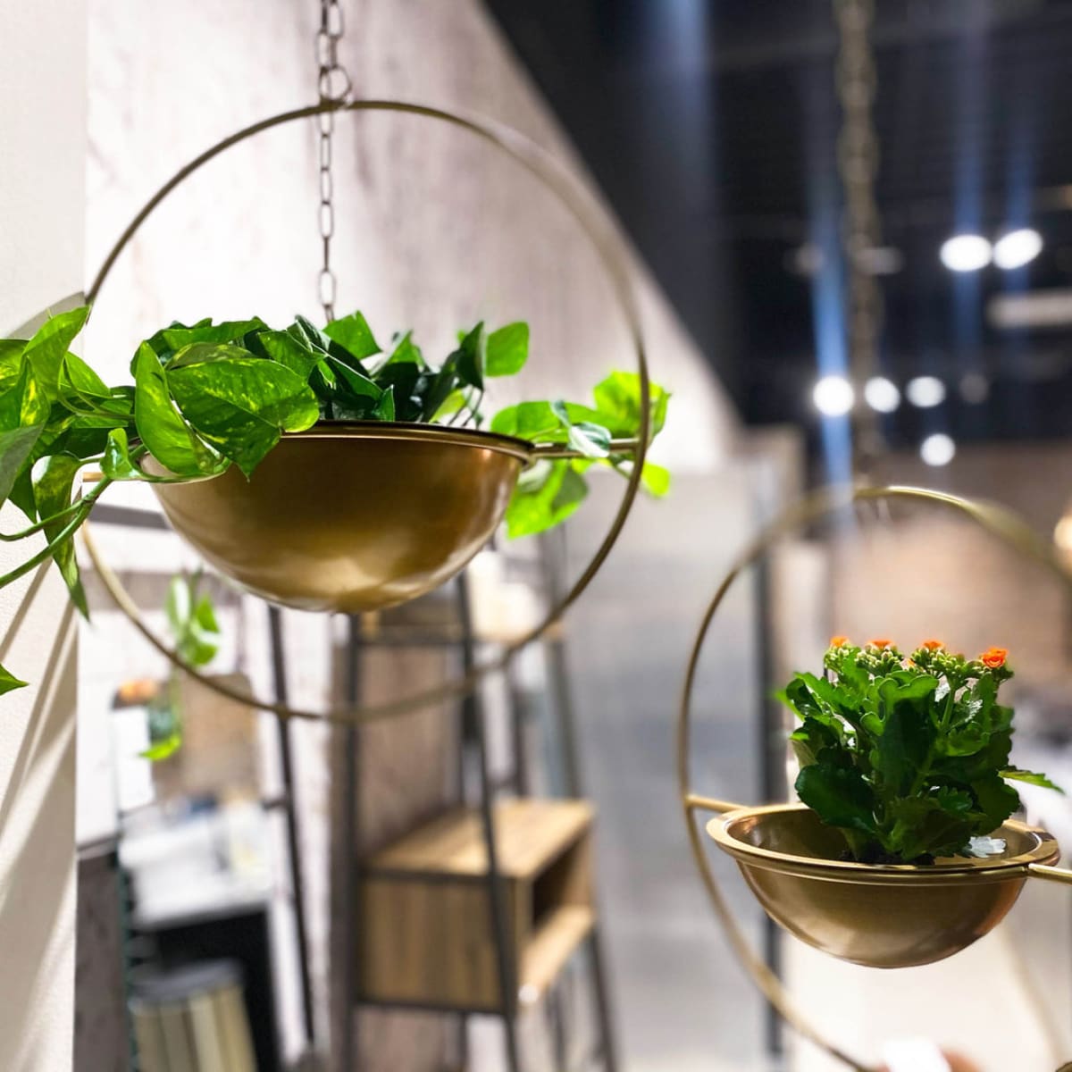 Earth Wind & Fire Hanging Pots (Set Of 2) - lh-import-vases