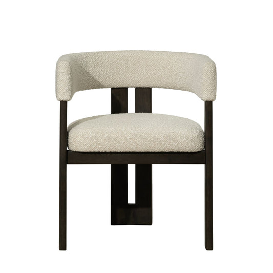 Hailey Arm Chair - dining-chairs