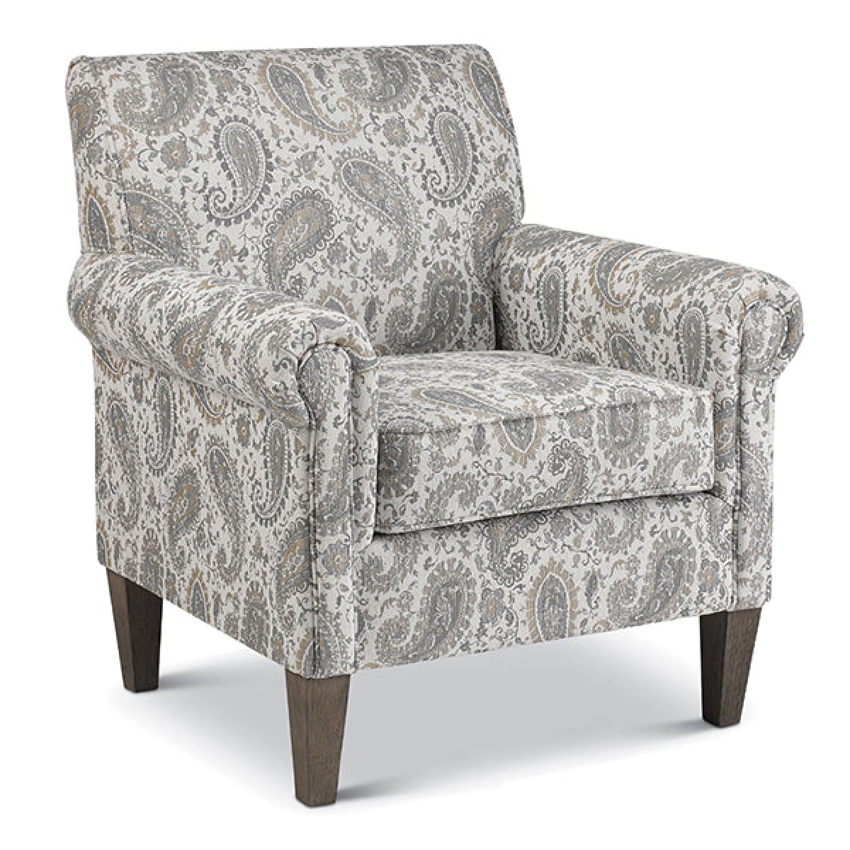 Mcbride Modern Club Chair - accent-chairs