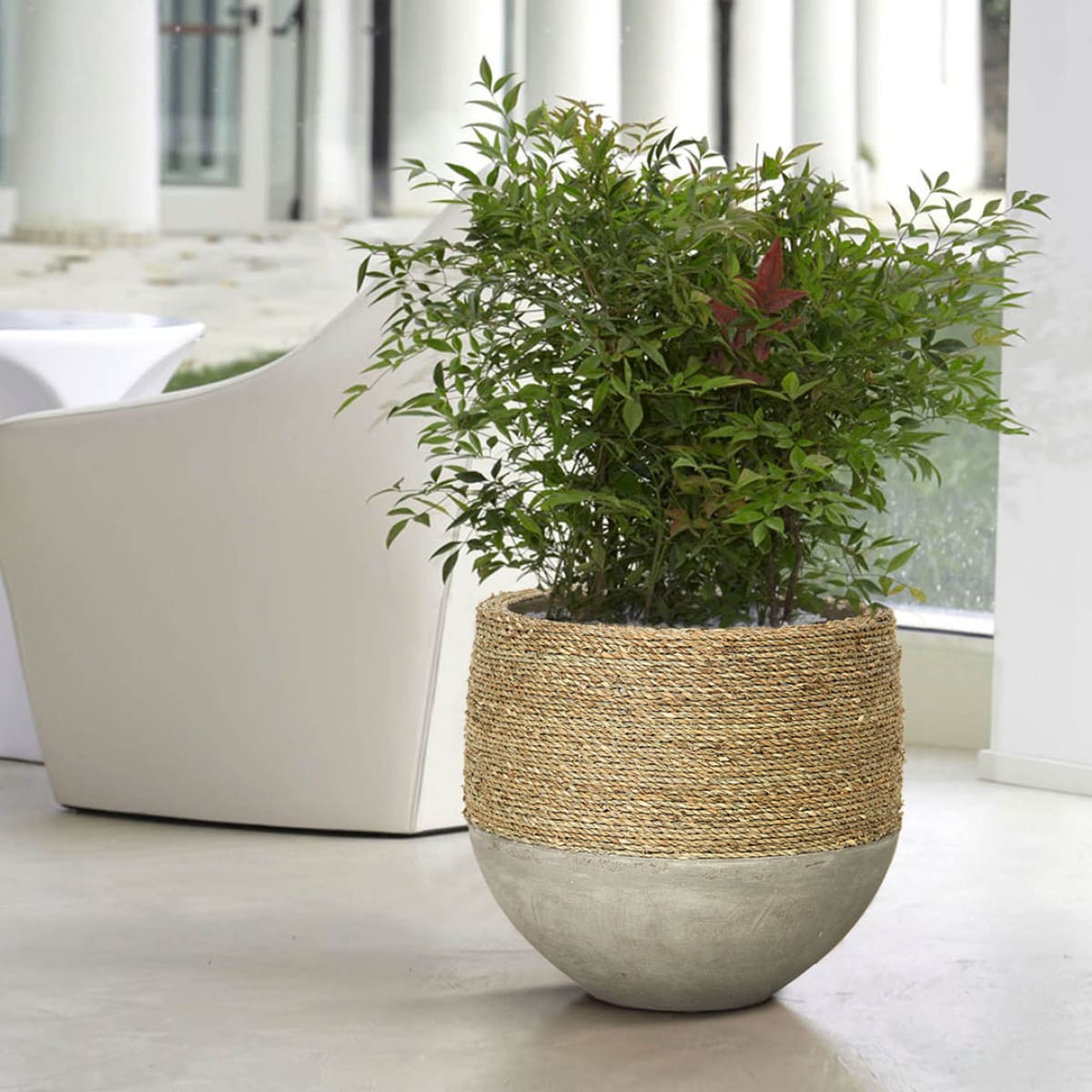 Nature Mixed Grass And Concrete Pot - lh-import-vases