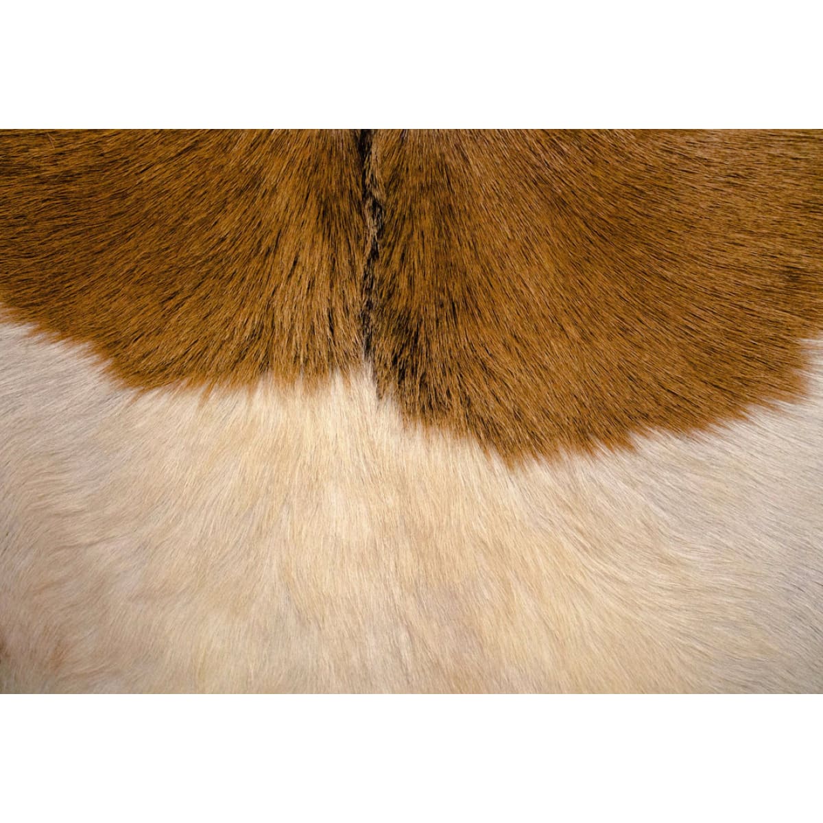 Rio Cool Armchair - Cool Brown Leather/Goat Hair - lh-import-accent-club-chairs