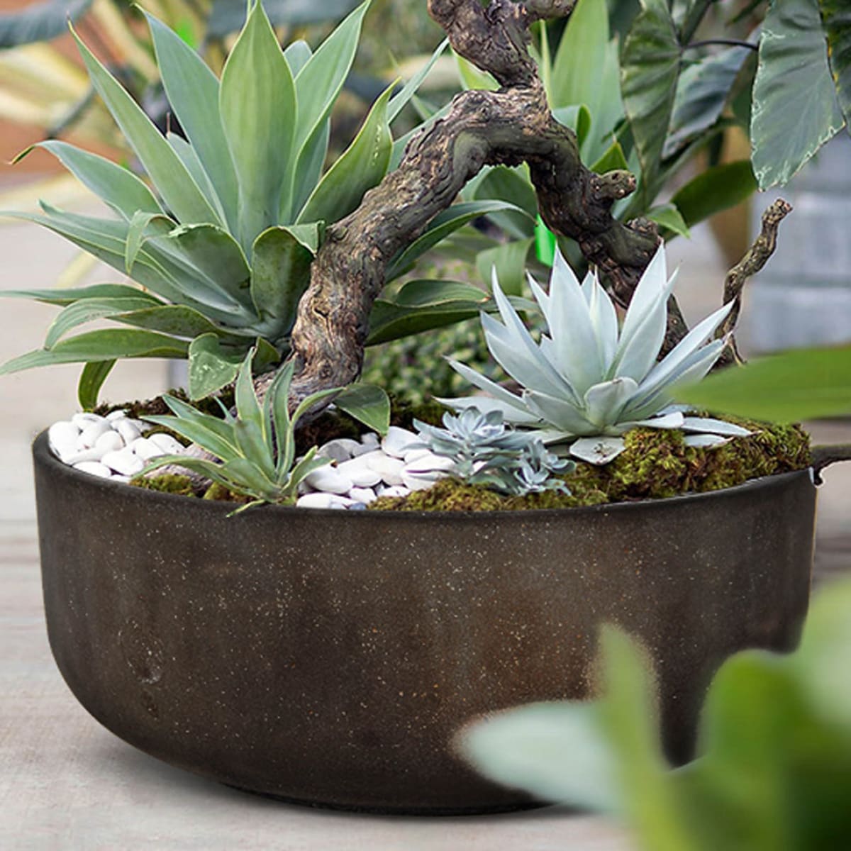 Rustic Bowl - Rustic Brown - lh-import-vases