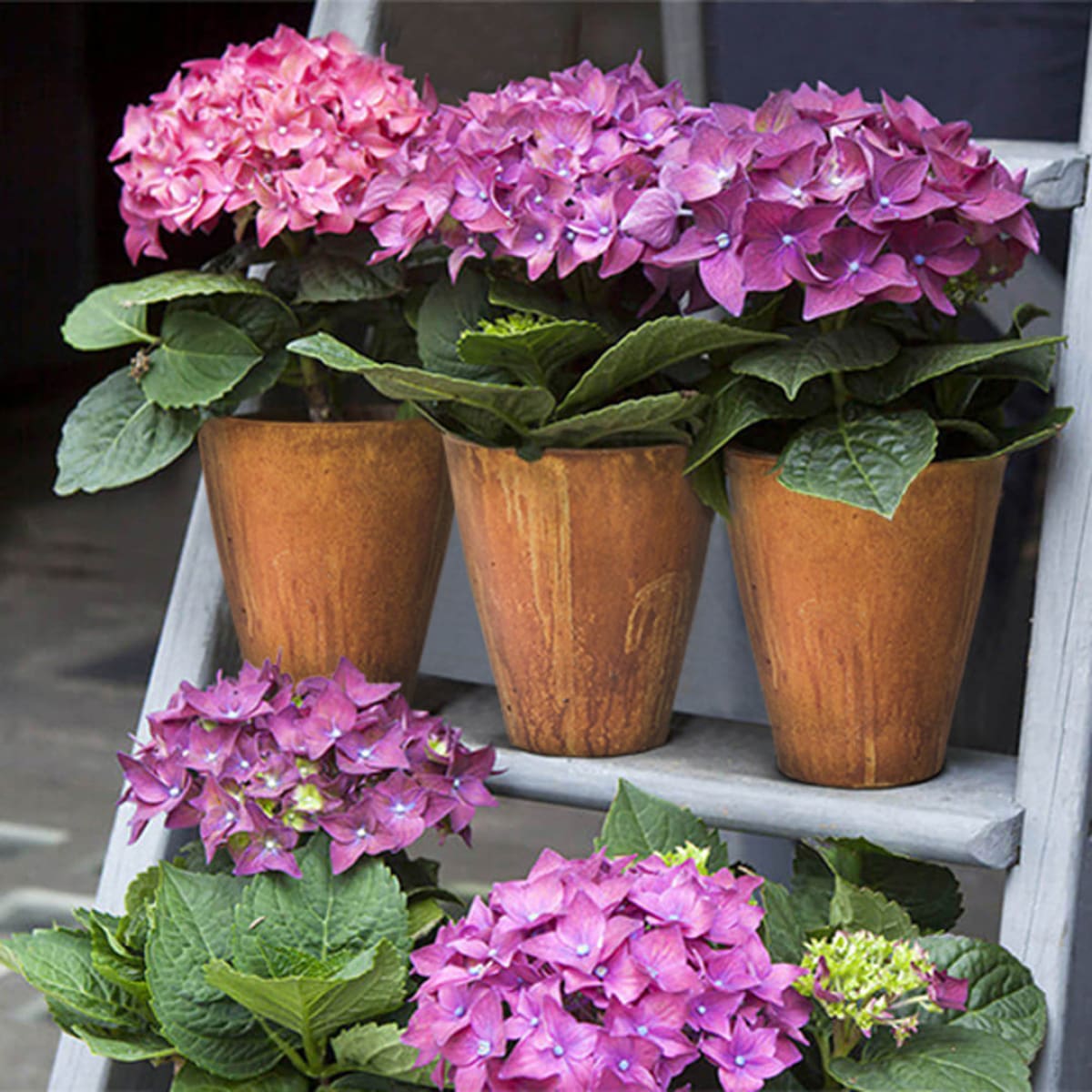 Rustic Medium Vase - Corten - lh-import-vases