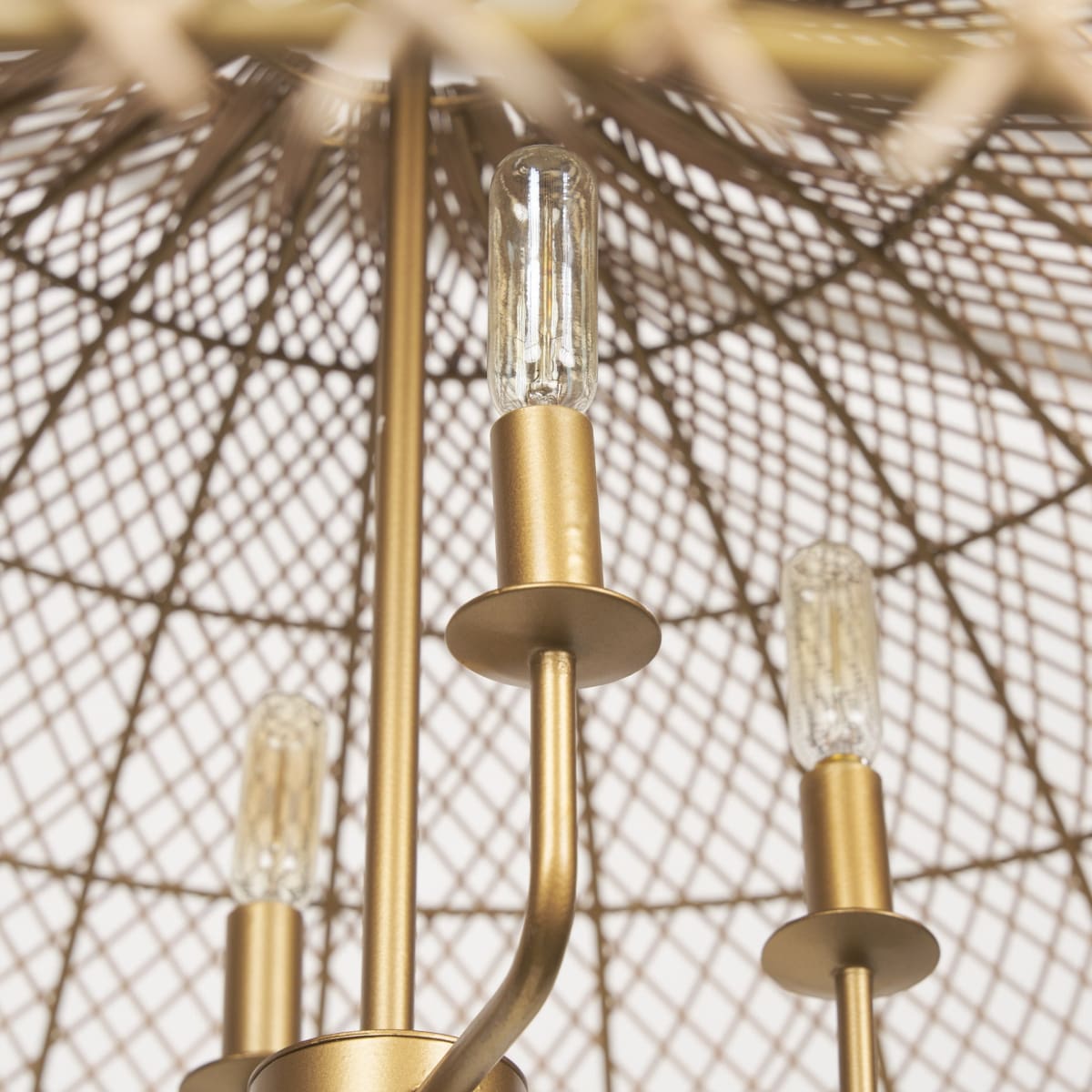 Thad Chandelier Rattan | Gold Metal | Dome Shade - chandeliers